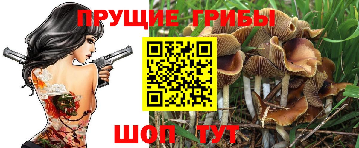 Галлюциногенные грибы Magic Shrooms Малгобек