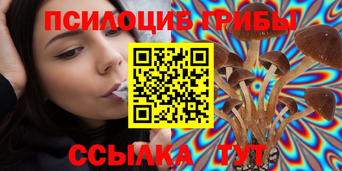 Малгобек  Псилоцибиновые грибы Magic Shrooms  Вход с VPN 